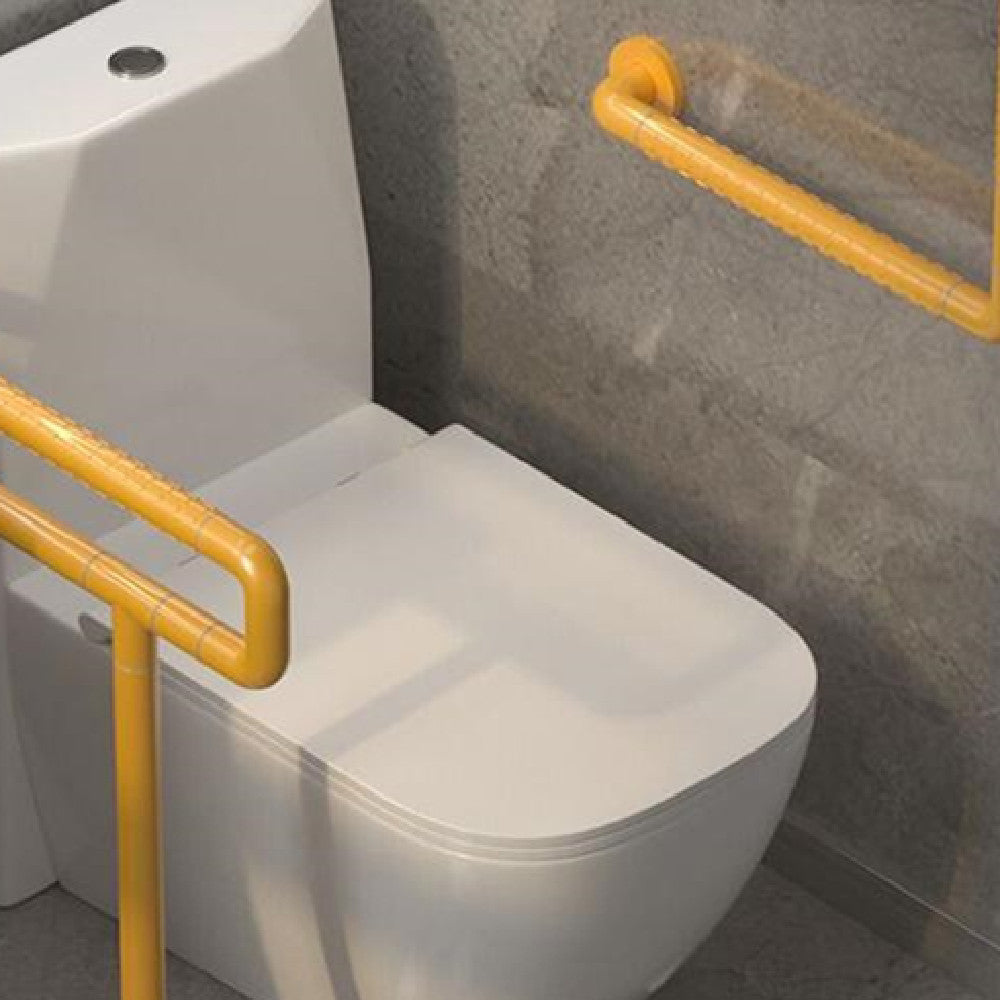 Accessible Toilet Seat Armrest Railing